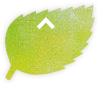 ページトップ