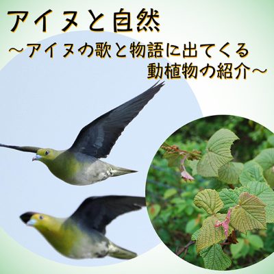 アイヌと自然〜アイヌの歌と物語に出てくる動植物の紹介〜