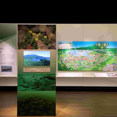 展示室内観