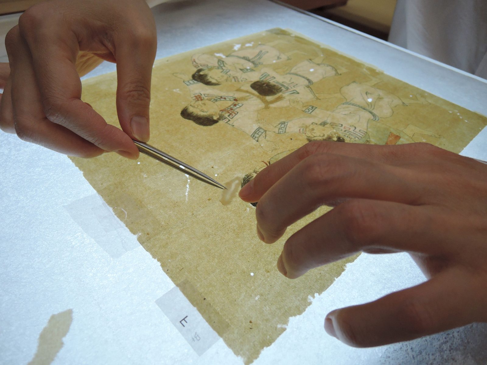 屏風の欠損部を補紙で修理する様子
蝦夷国風図絵（屏風装）