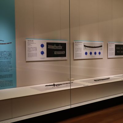 展示された刀
