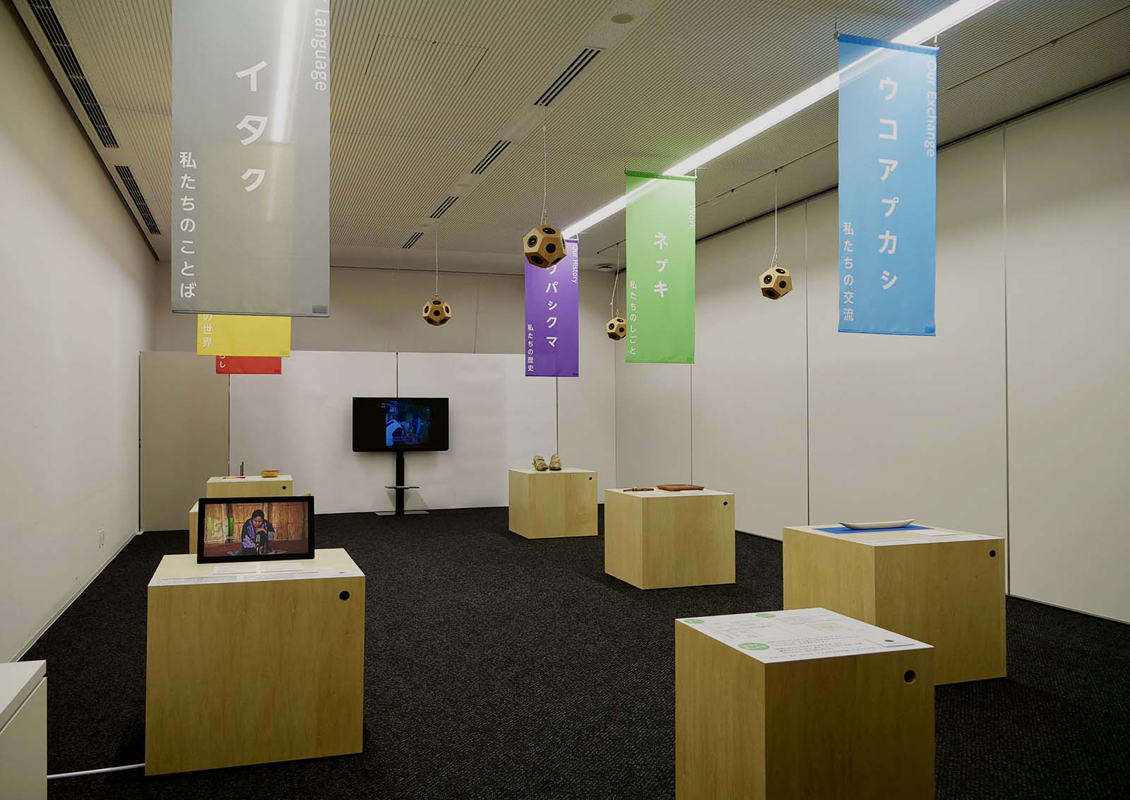 展示の様子