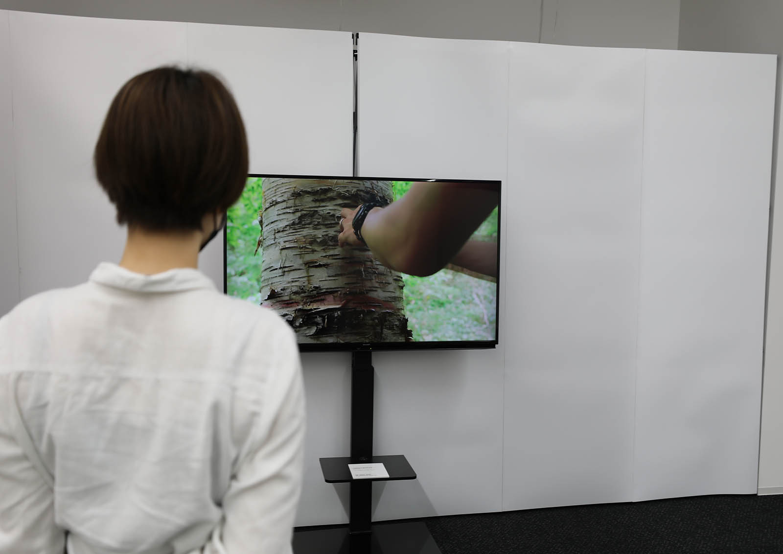 音と映像の展示の様子