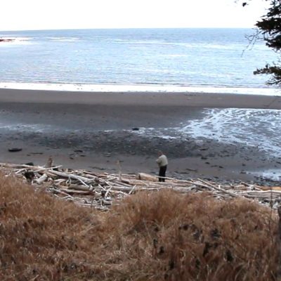 海岸と砂浜に立つ人物